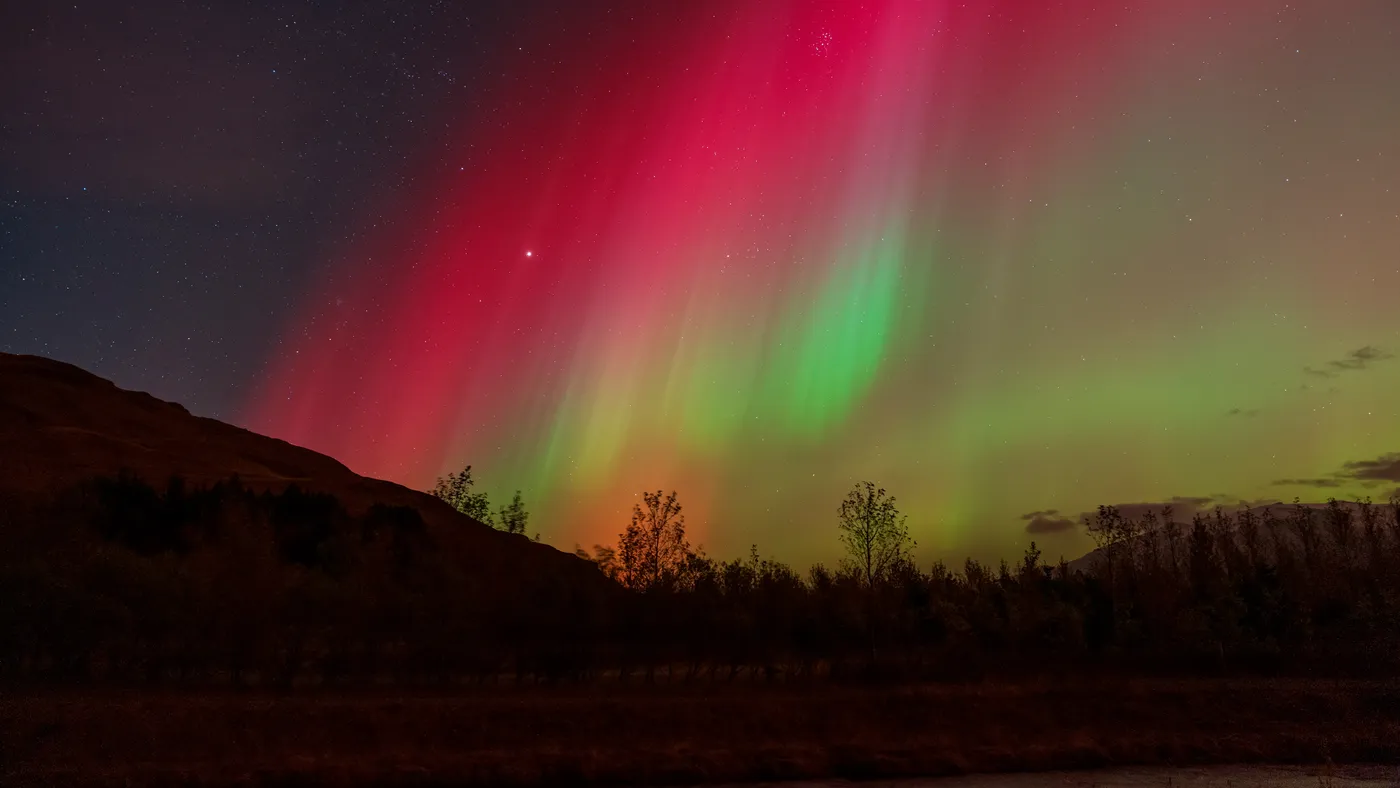 Timelapse 2021